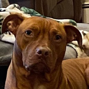 Meet your Posher, Nicholas